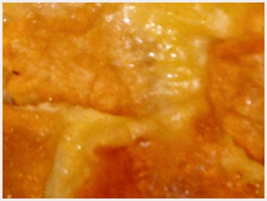 Clafoutis Pommes