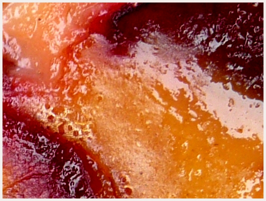 Clafoutis Thermomix