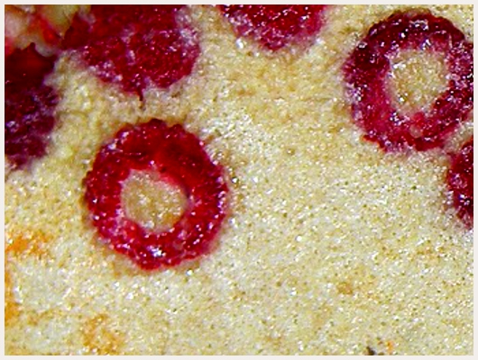 Clafoutis Weight Watchers