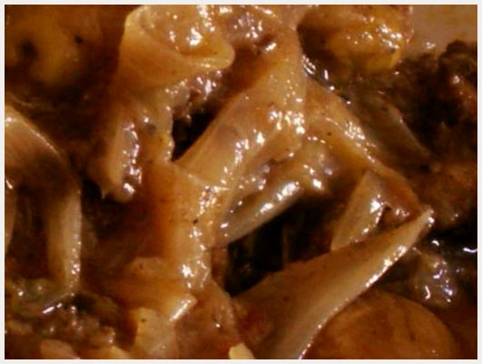 Confit d'Agneau Ail