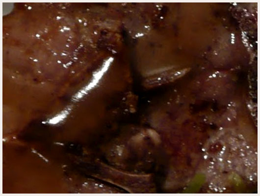 Confit d'Agneau aux Haricots