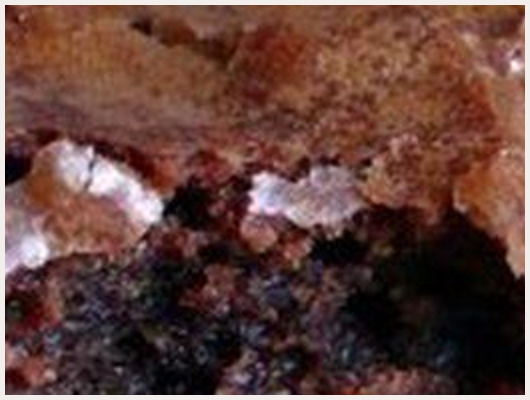 Cookies Brownies