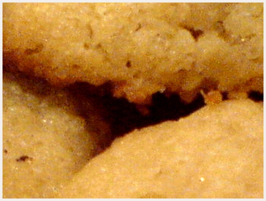 Cookies Coco