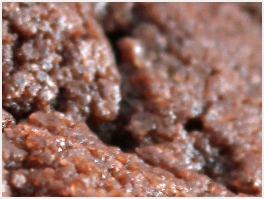 Cookies Fourchette et Sac  Dos