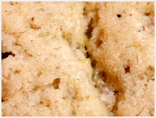 Cookies Nature
