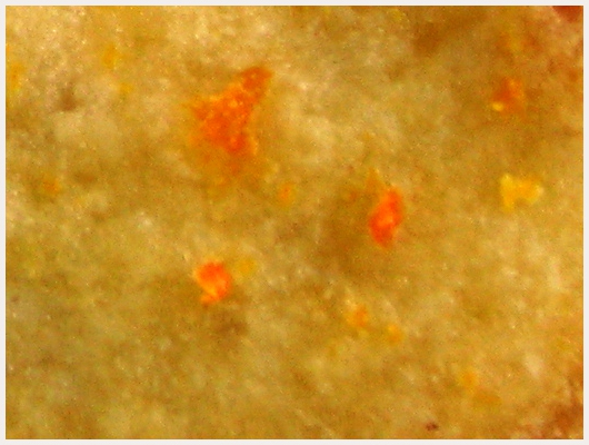 Cookies Orange