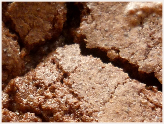 Cookies pour les Nuls