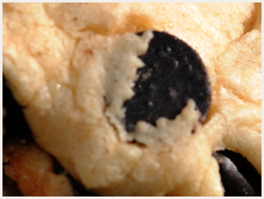 Cookies Thermomix