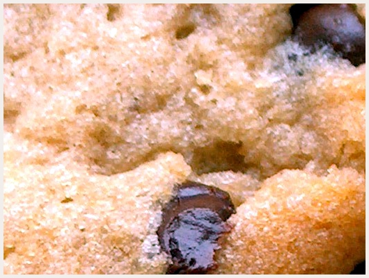 Cookies Vergeoise