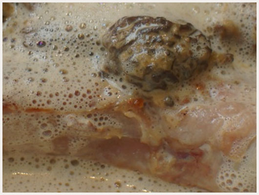 Côte de Veau aux Morilles