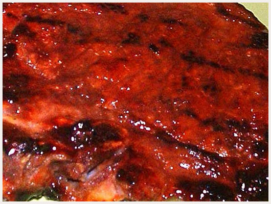 Côte de Veau Sauce Tomate