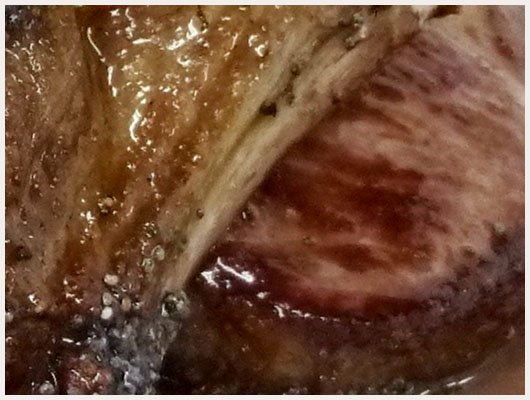 Côtelette d'Agneau au Miel