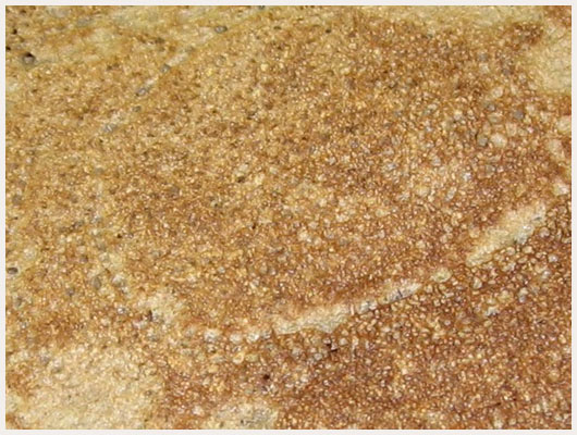 Crepe Bretonne Au Froment