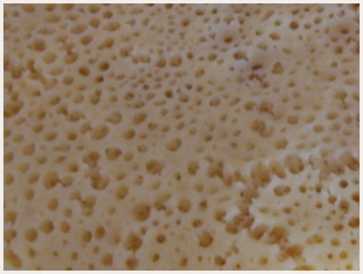 Crêpe Choumicha