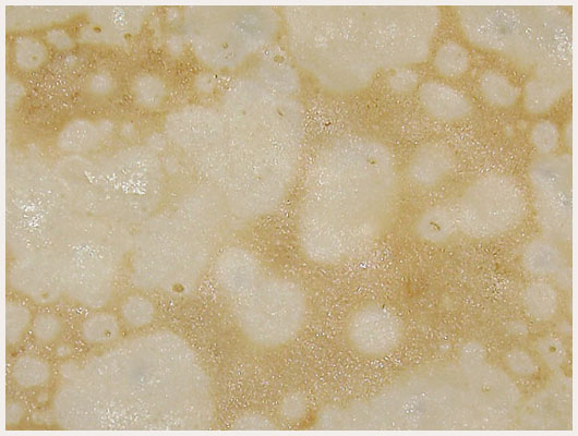 Crêpe Cidre