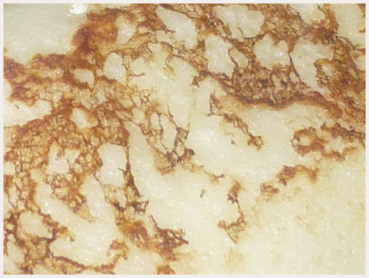Crêpe Huile