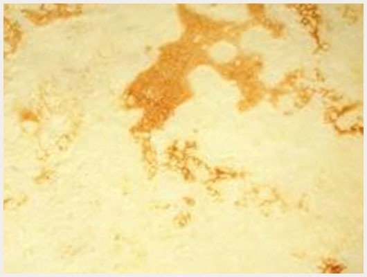 Crêpe Lait de Coco