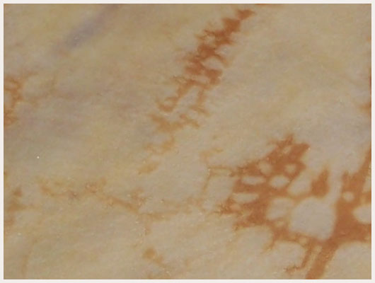 Crêpe Simple
