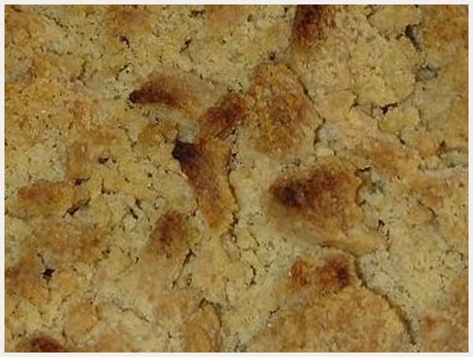 Crumble de Pommes