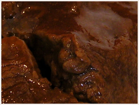 Daube de Boeuf  la Bire