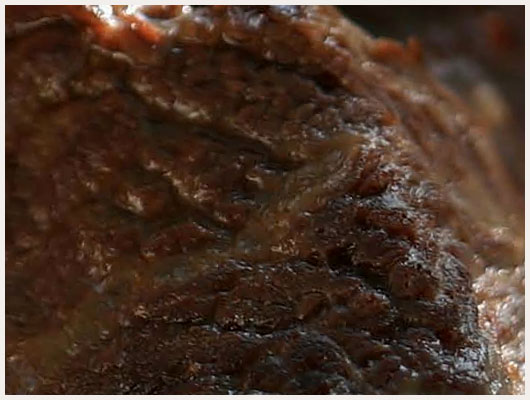 Daube de Boeuf au Citron