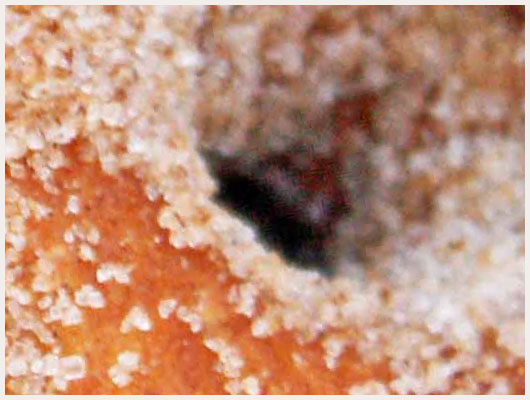 Donuts avec Machine � Donuts