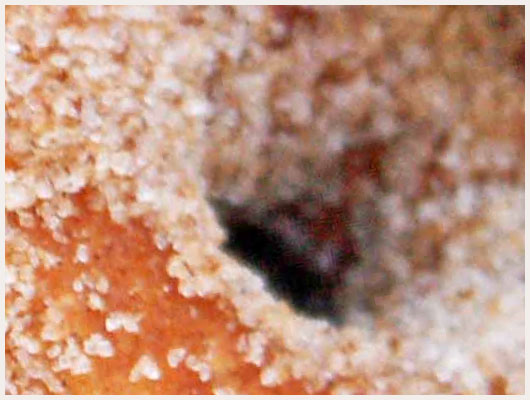 Donuts Machine à Donuts