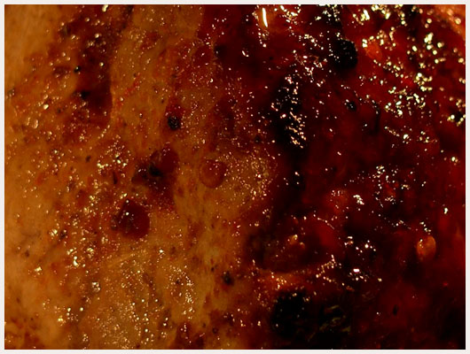 Echine de Porc au Miel