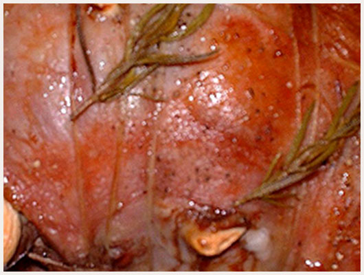 Epaule d'Agneau au Romarin