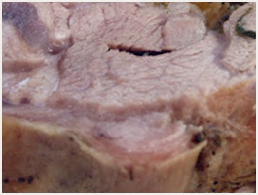 Epaule d'Agneau Roulée au Four