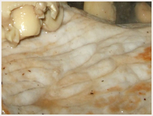 Escalope de Veau aux Champignons