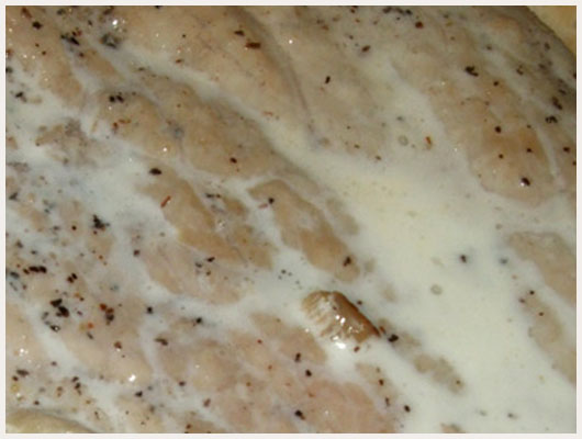 Escalope de Veau en Sauce