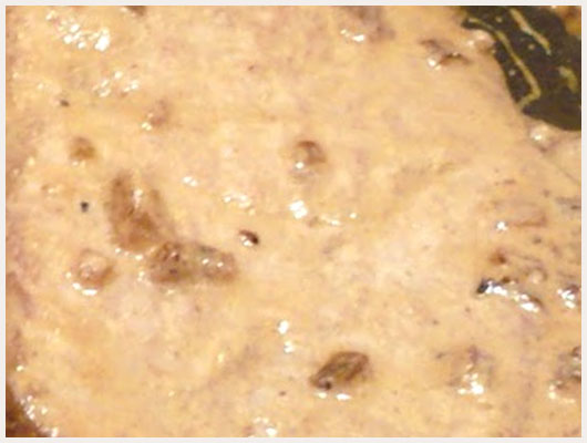 Escalope de Veau Sauce Crème