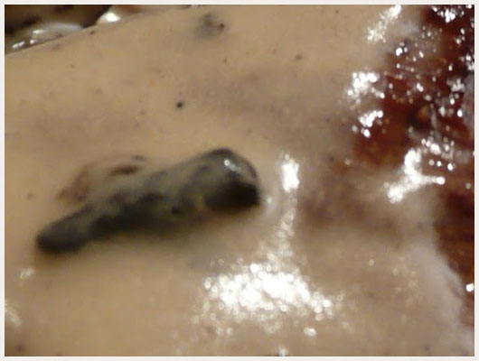 Filet de Biche aux Morilles