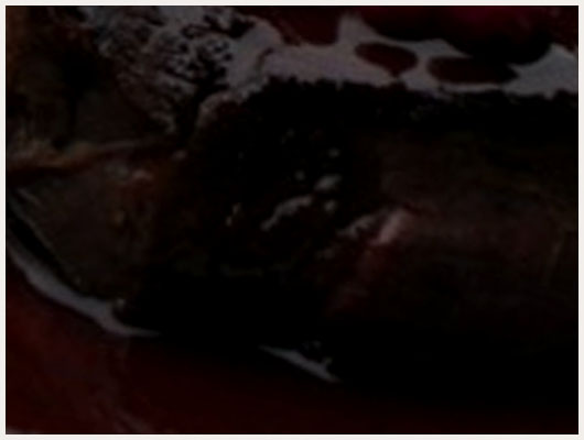 Filet de Biche Sauce Chocolat