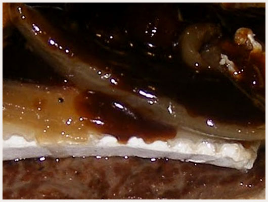 Filet de Boeuf au Foie Gras et Cèpes