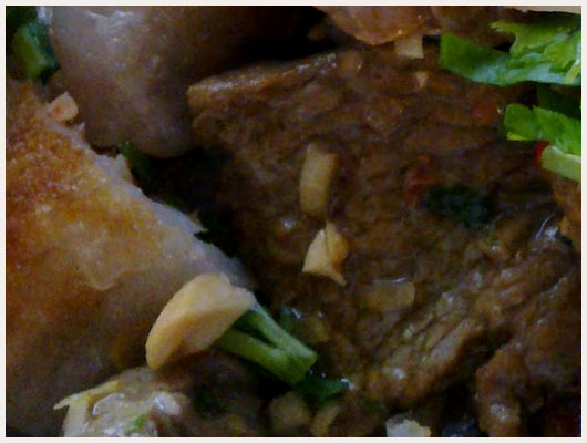 Filet de Boeuf au Foie Gras Façon Nem