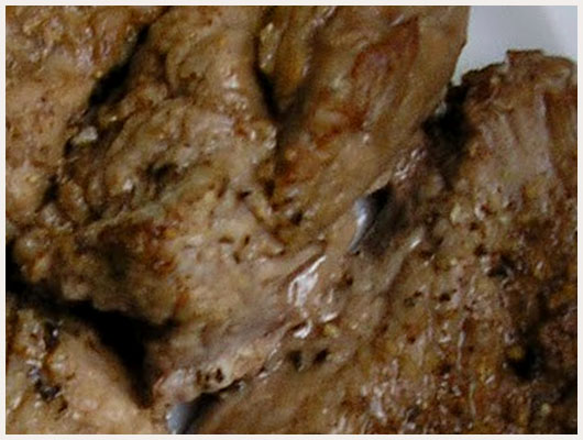 Filet de Boeuf au Four