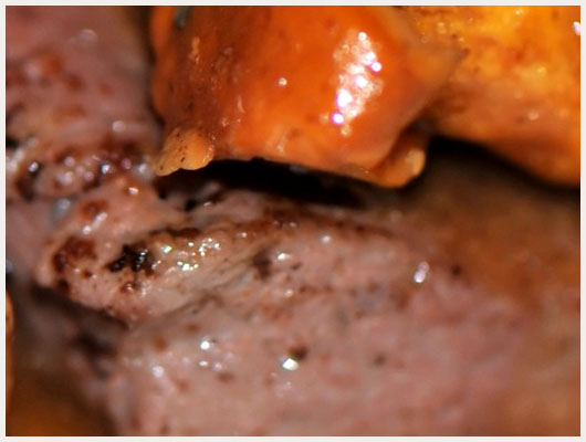 Filet de Boeuf aux Morilles
