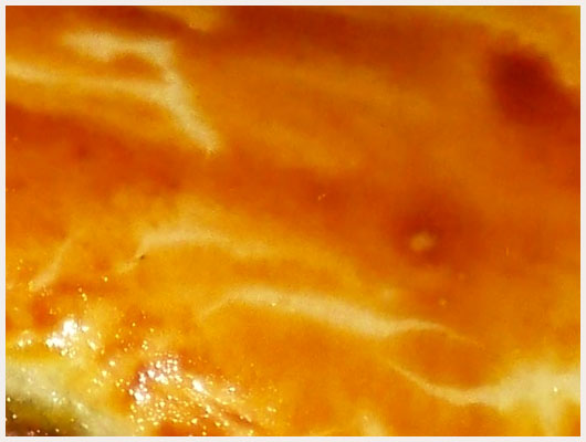 Filet de Boeuf en Croute
