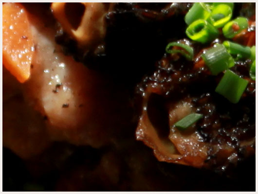 Filet de Boeuf Morilles