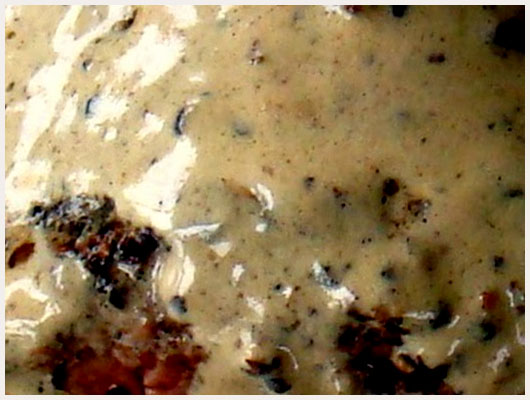 Filet de Boeuf Rossini Madere
