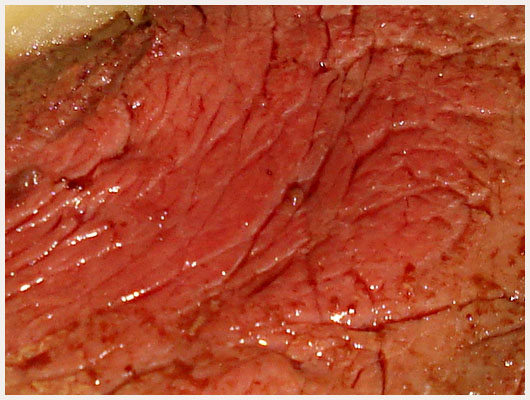 Filet de Boeuf Roti au Four