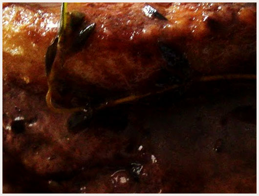Filet Mignon de Porc au Foie Gras