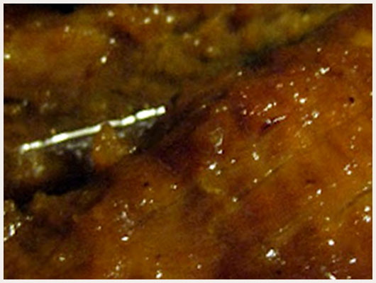 Filet Mignon de Porc au Miel au Four
