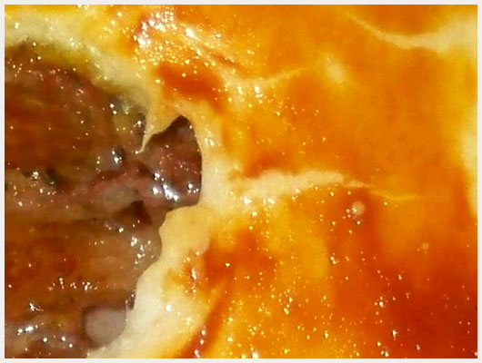 Filet Mignon de Porc en Croute de Sel
