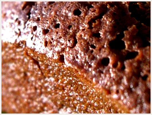 Financier au chocolat
