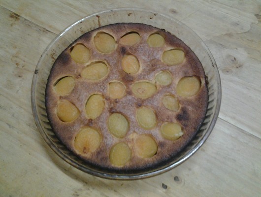 Flan aux Abricots