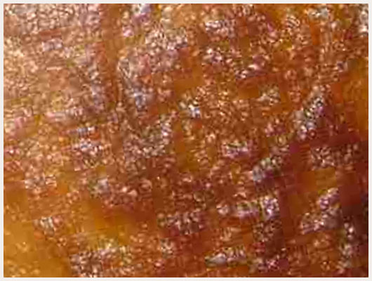 Flan Dukan
