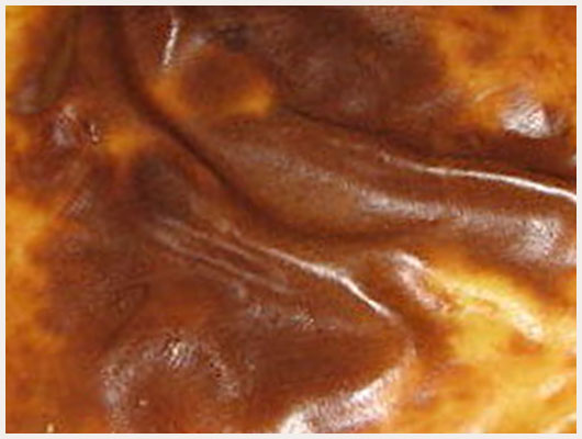 Flan Nature